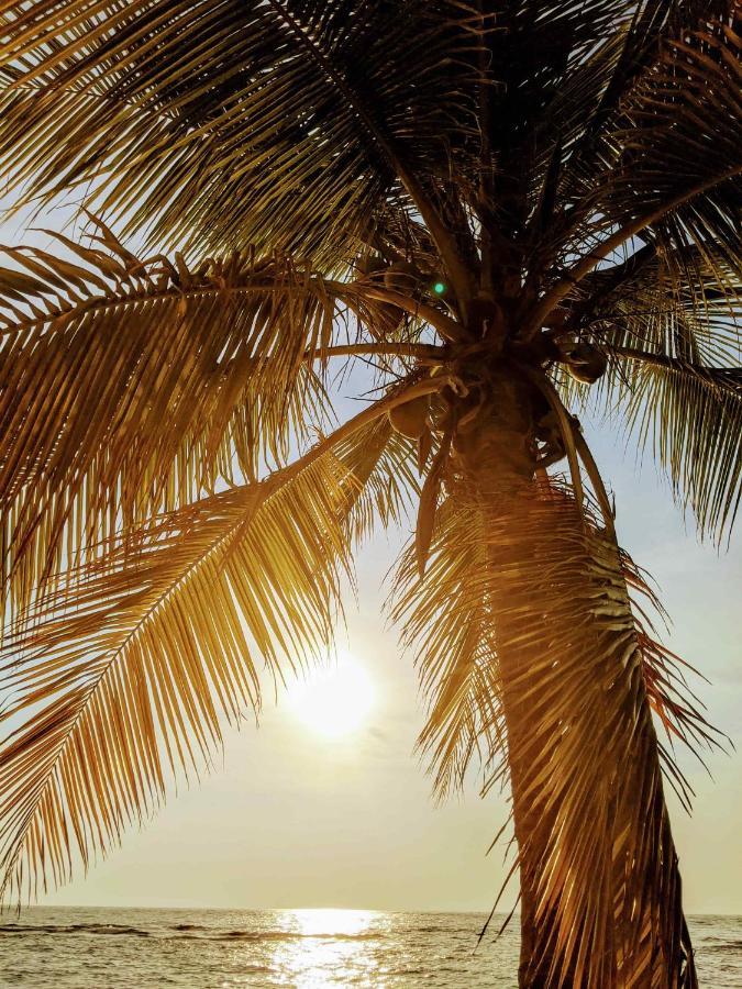 Seaside Inn Roatan เวสต์ เบย์ ภายนอก รูปภาพ